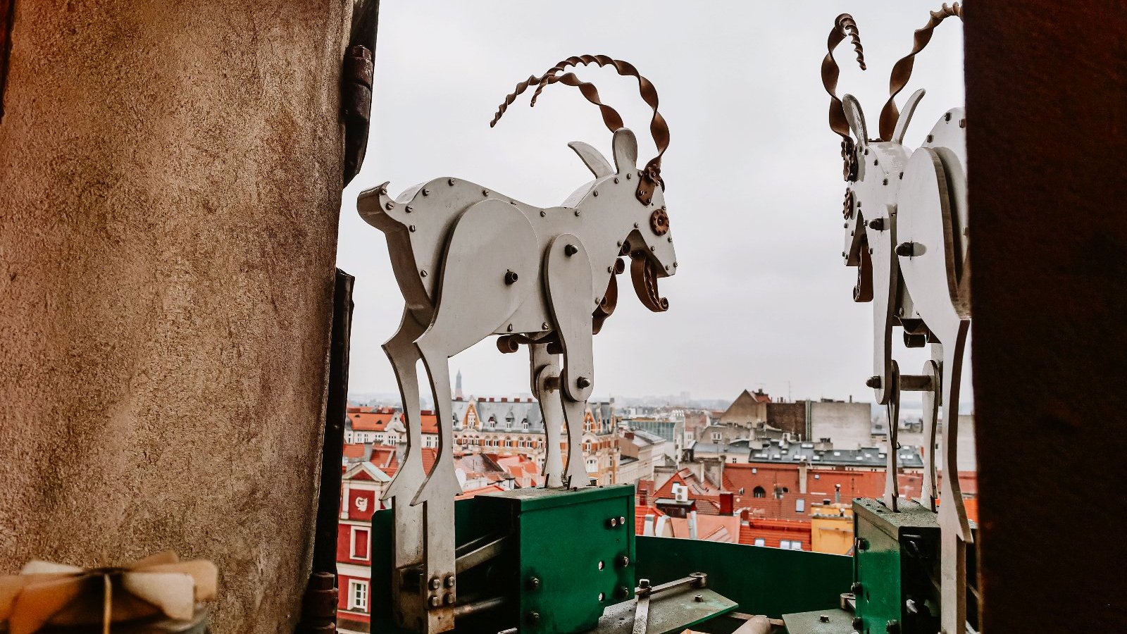 Galeria zdjęć przedstawia poznańskie koziołki z wieży ratuszowej. Wszystkie zdjęcia zrobiono od wewnątrz, czyli z wieży. Widać na nich wychodzące i trykające się koziołki.