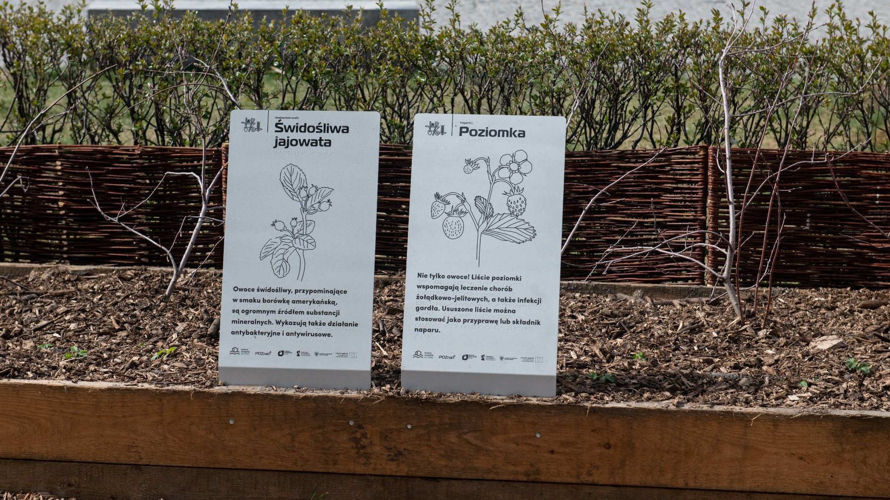 Galeria zdjęć przedstawia ogród eksperymentalny. Widać na nim wydzielone miejsce na rośliny oraz prelegentów konferencji.