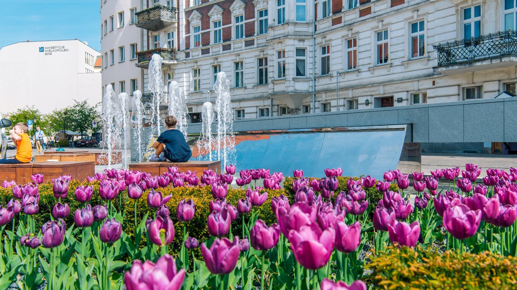 Na zdjęciu plac Kolegiacki, na pierwszym planie tulipany, w tle fontanna, przy której siedzą młodzi ludzie