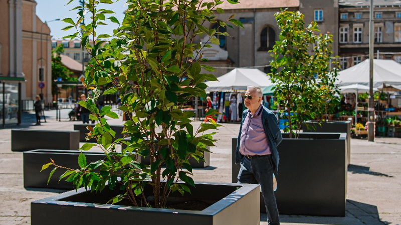 Galeria zdjęć przedstawia plac Bernardyński. Widać na nich donice z roślinami oraz stragany handlowe.