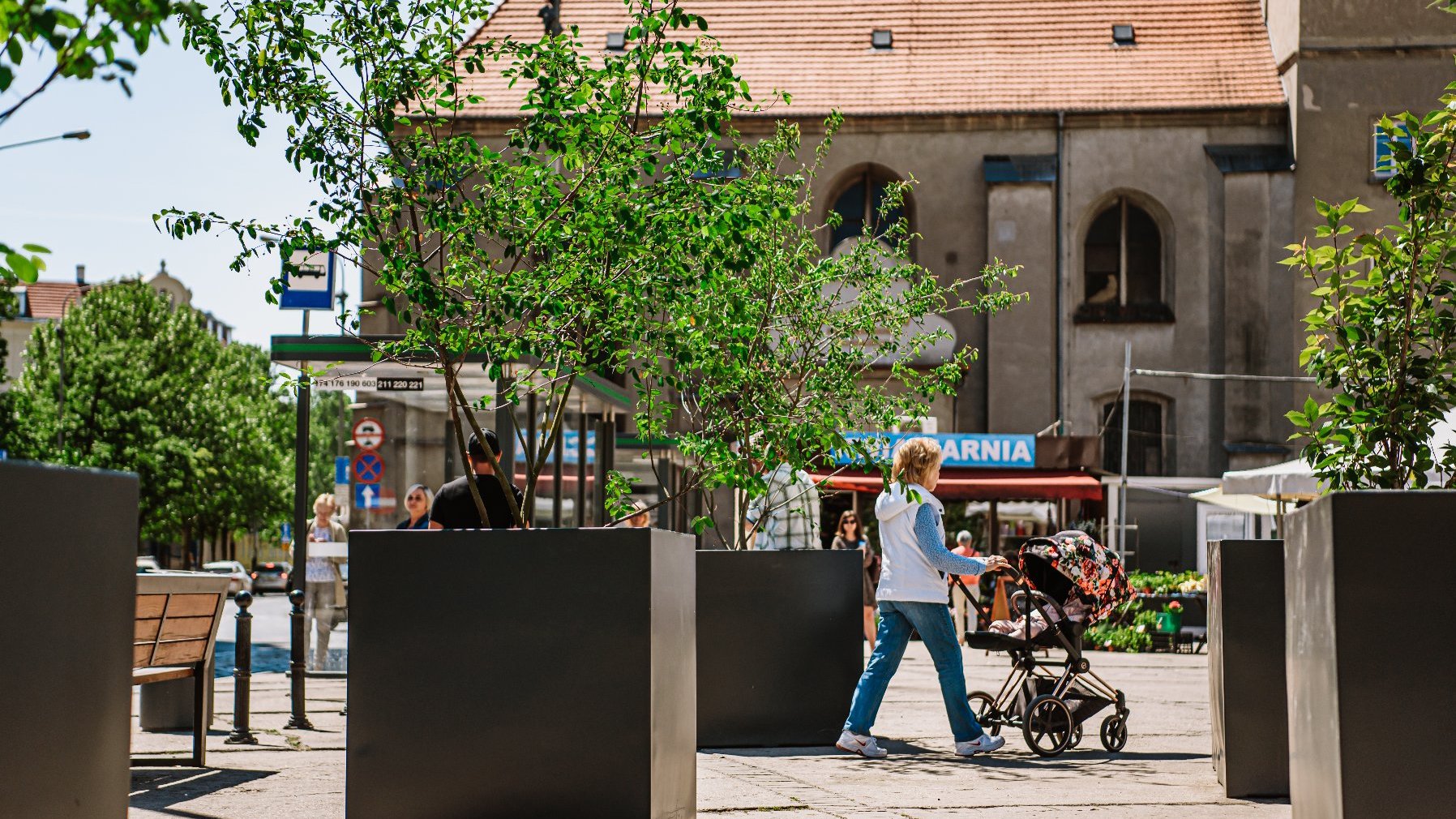 Galeria zdjęć przedstawia plac Bernardyński. Widać na nich donice z roślinami oraz stragany handlowe.