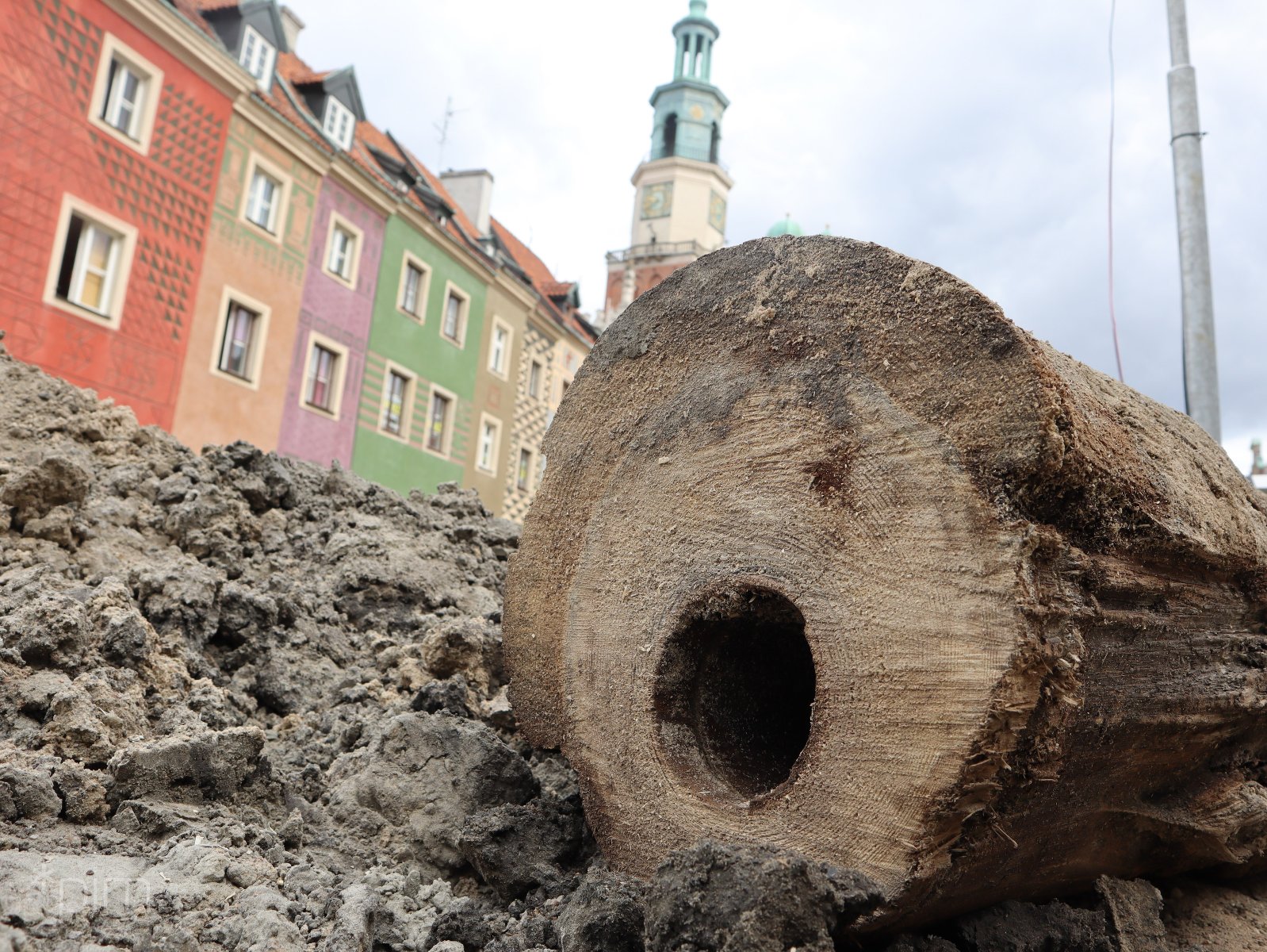 Galeria zdjęć odkryć dokonanych przez archeologów przy okazji prac na Starym Rynku - grafika artykułu