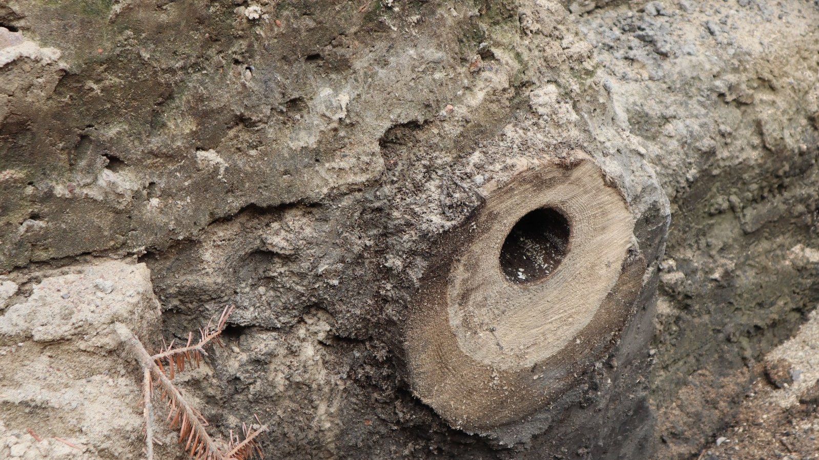 Galeria zdjęć odkryć dokonanych przez archeologów przy okazji prac na Starym Rynku