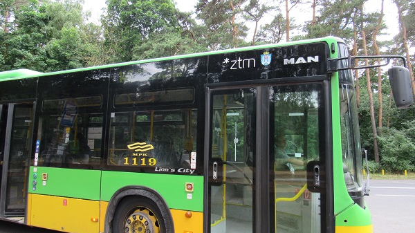 Autobus linii 146