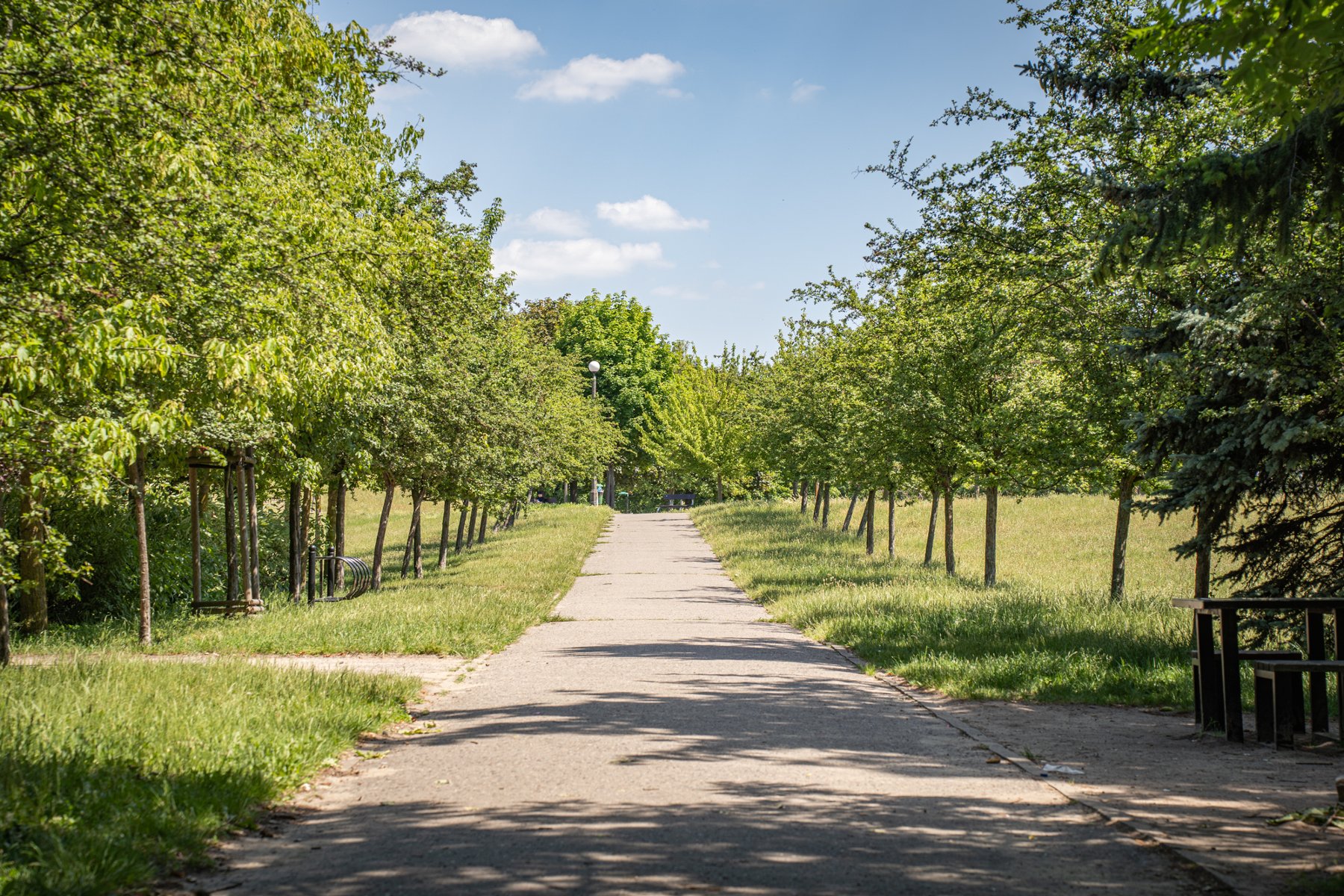 Galeria zdjęć przedstawia park Kasprowicza. Widać na nim roślinność, a także plac zabaw, siłownię zewnętrzną i halę Arena. - grafika artykułu