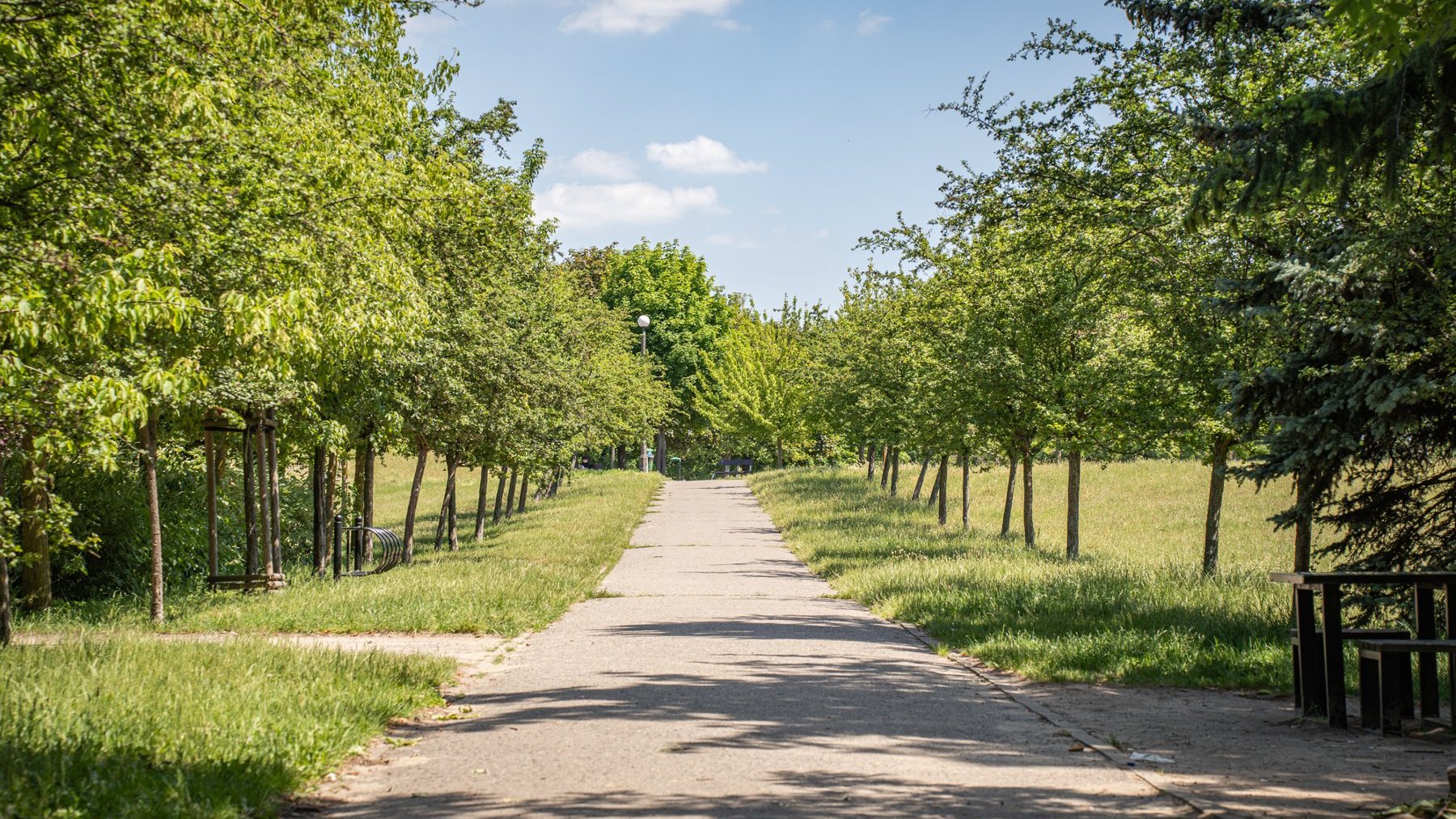 Galeria zdjęć przedstawia park Kasprowicza. Widać na nim roślinność, a także plac zabaw, siłownię zewnętrzną i halę Arena.