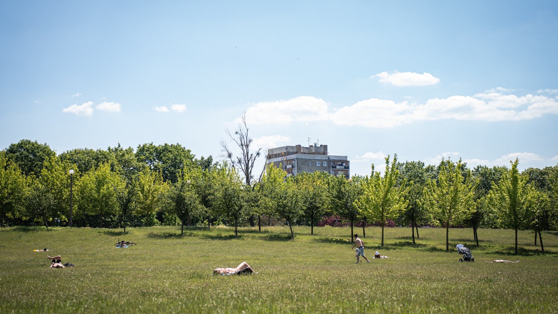 Galeria zdjęć przedstawia park Kasprowicza. Widać na nim roślinność, a także plac zabaw, siłownię zewnętrzną i halę Arena.