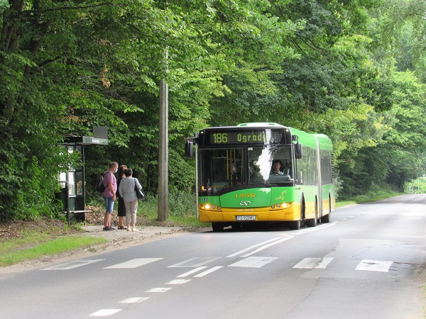 Autobus linii 186 - grafika artykułu