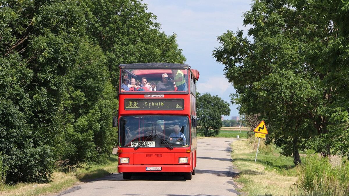 Na zdjęciu czerwony piętrowy autobus, jadący drogą wśród drzew