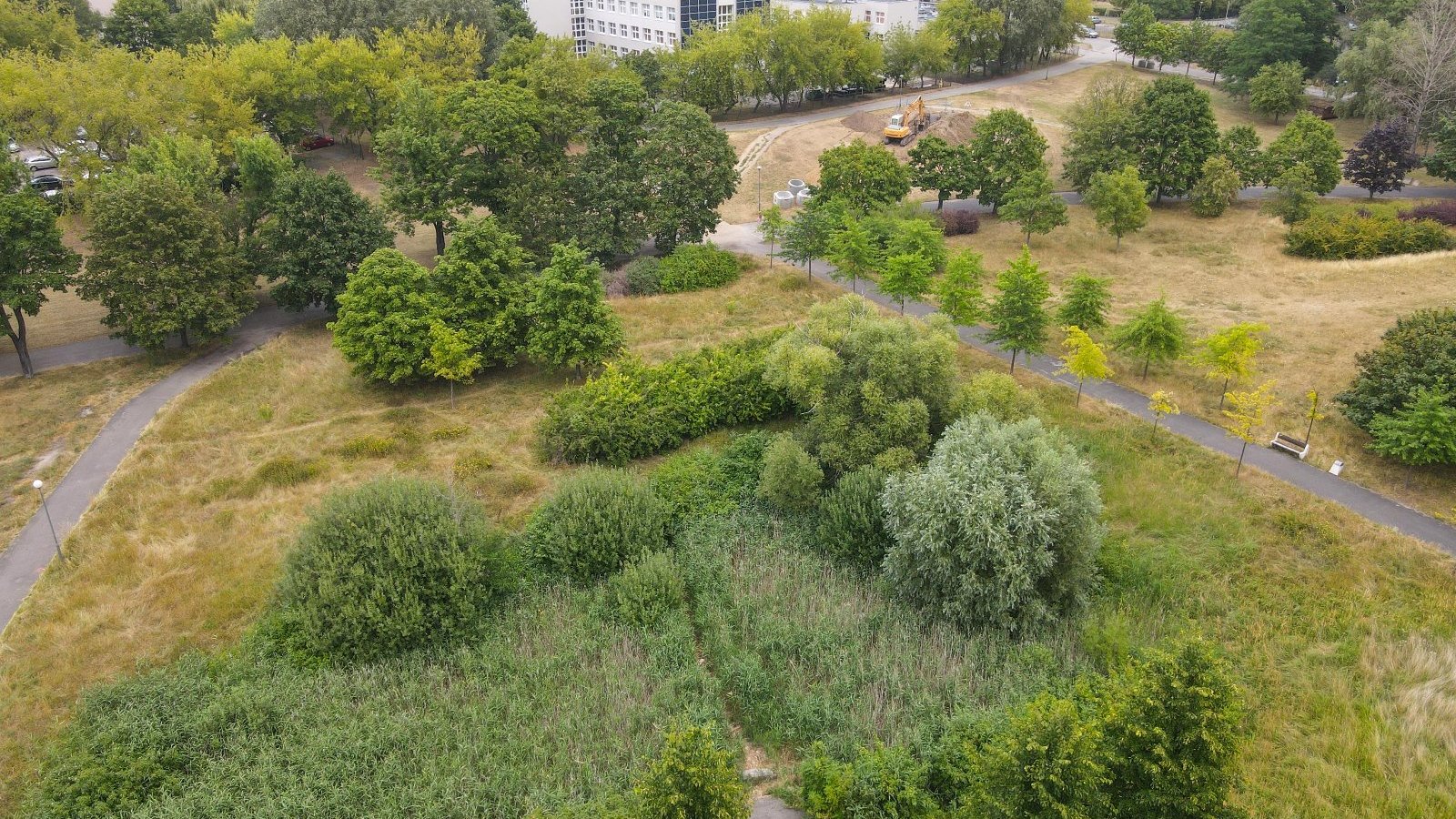 Galeria zdjęć przedstawia użytek Traszki Ratajskie i prowadzone na jego terenie prace budowlane.