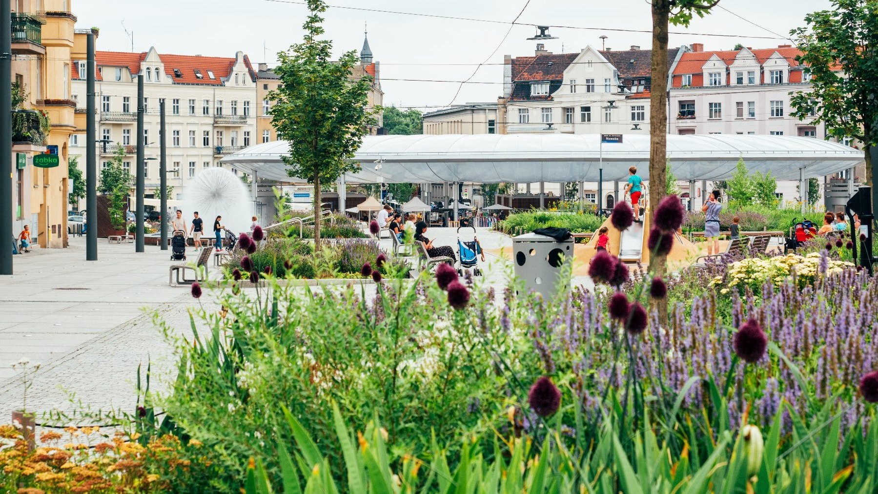 Na zdjęciu rynek Łazarski, na nim odpoczywający ludzie, na pierwszym planie rośliny