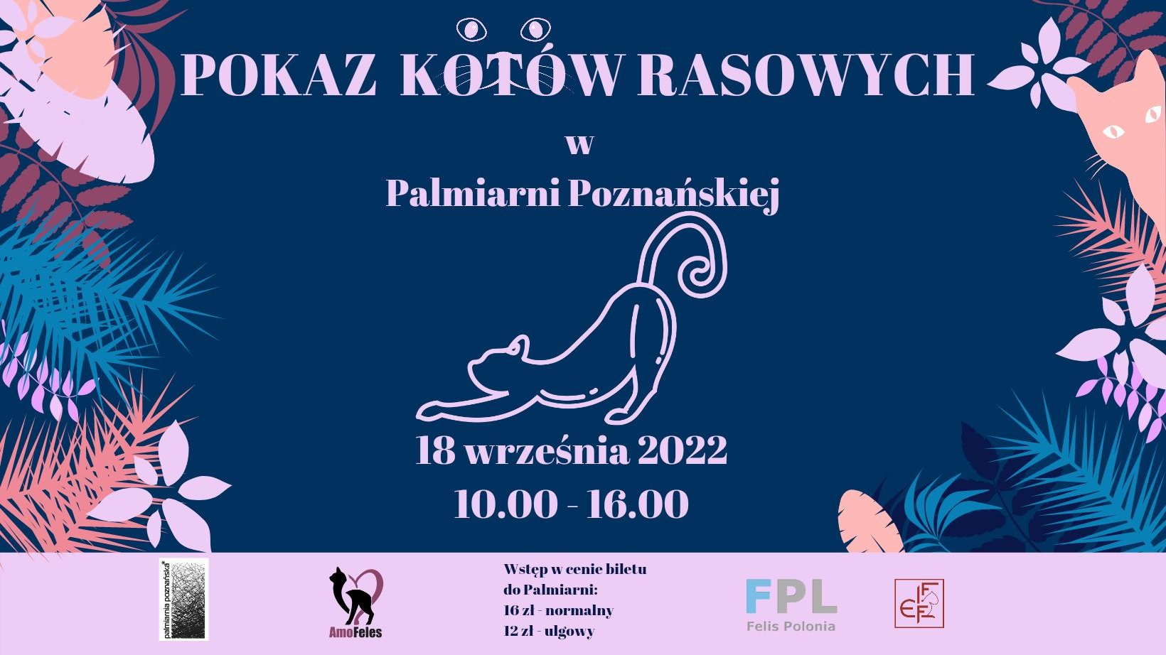 Plakat z kwiatami, kotem oraz napisami