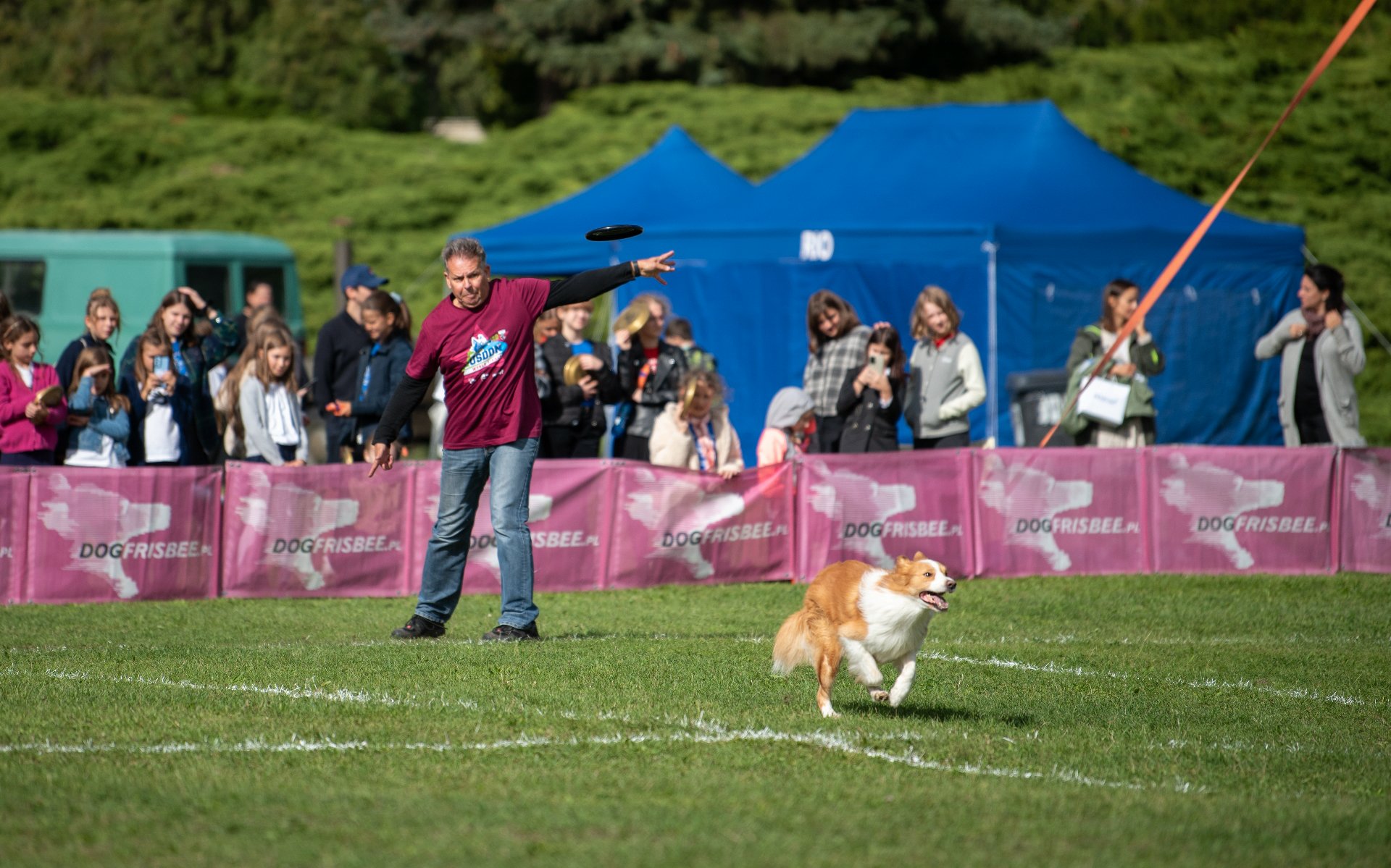 Galeria zdjęć przedstawia pierwszy dzień dogfrisbee World Finals USDDN Polska 2022. - grafika artykułu