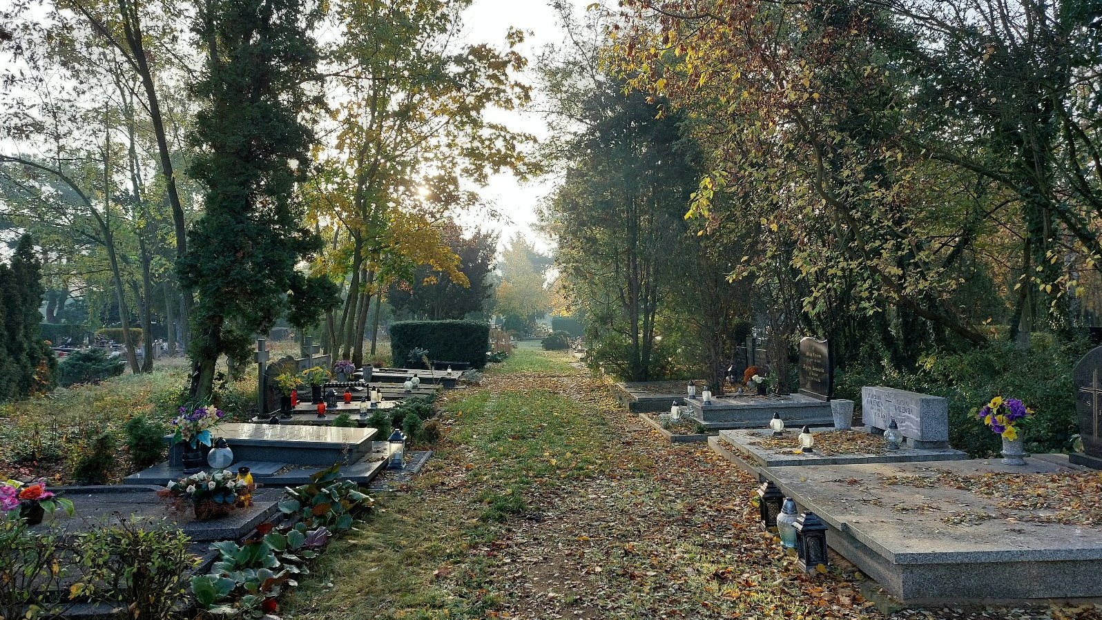 Zdjęcie pokazuje alejkę pomiędzy grobami na cmentarzu junikowskim