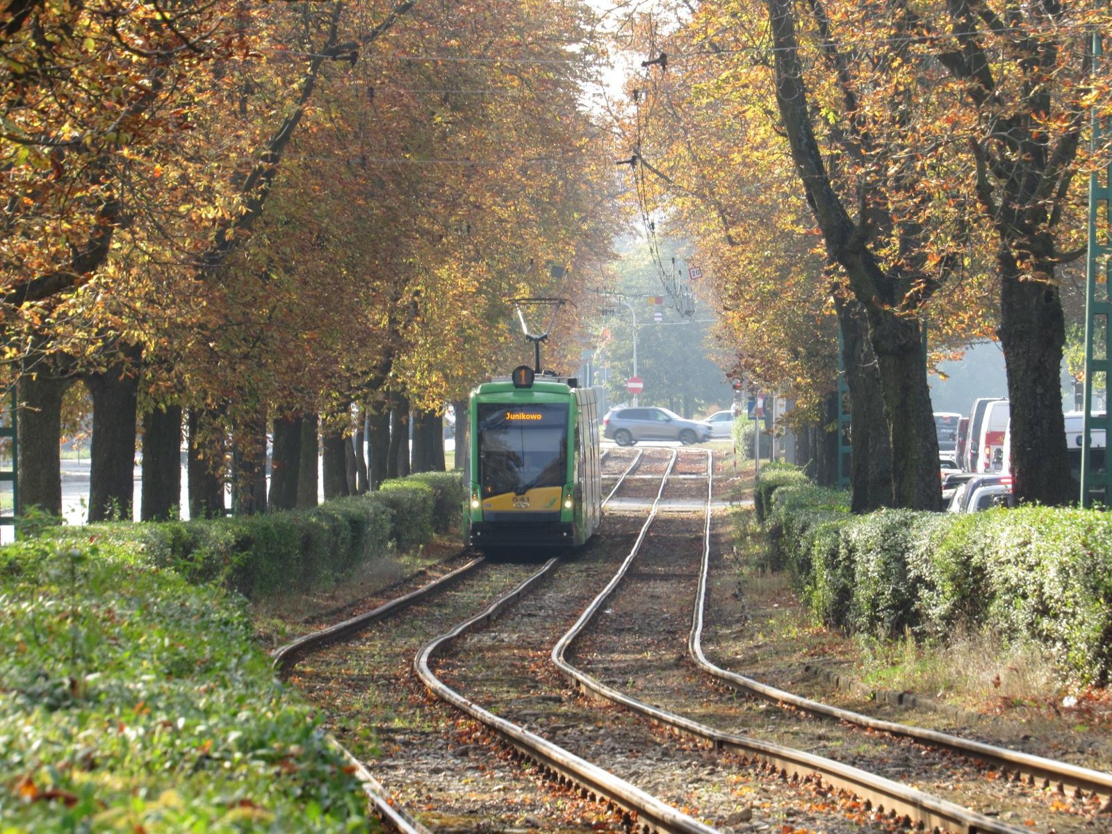 Tramwaj linii nr 1 - grafika artykułu