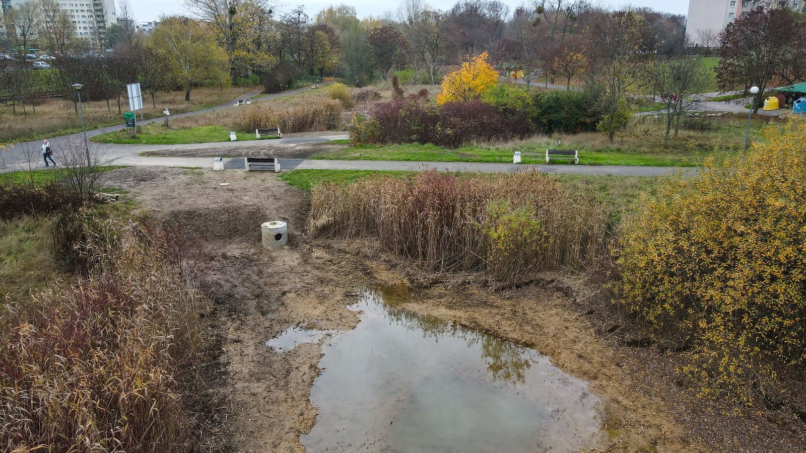 Na zdjęciu staw, w tle park i przechodnie, na dalszym planie bloki