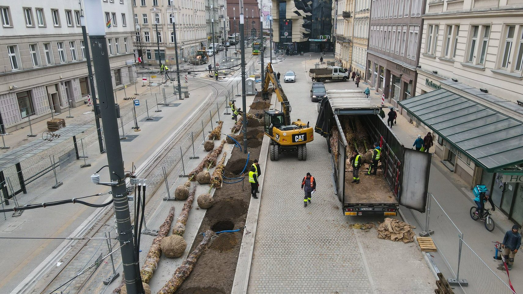 Galeria zdjęć z sadzenia drzew przy Al. Marcinkowskiego