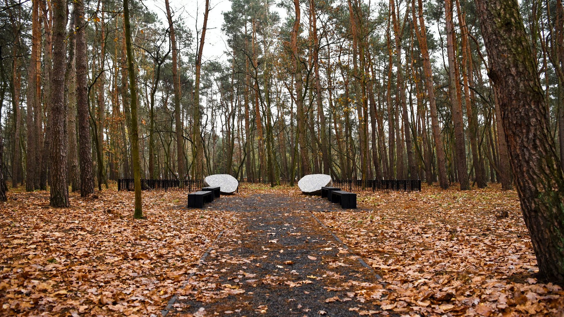 Galeria zdjęć przedstawia Las Pamięci na cmentarzu junikowskim.