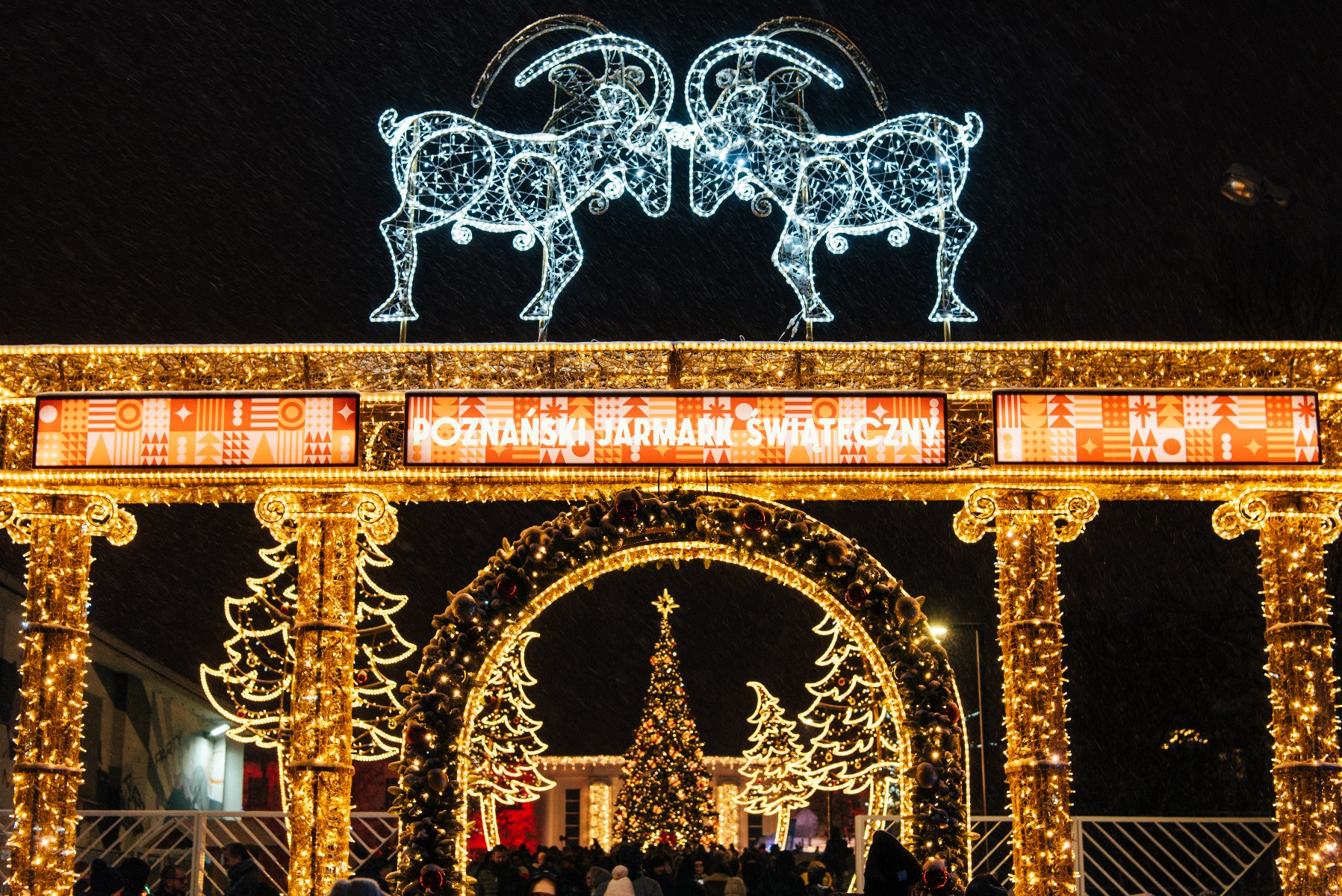 Na zdjęciu iluminacja bramy oraz koziołków nad nią - grafika artykułu