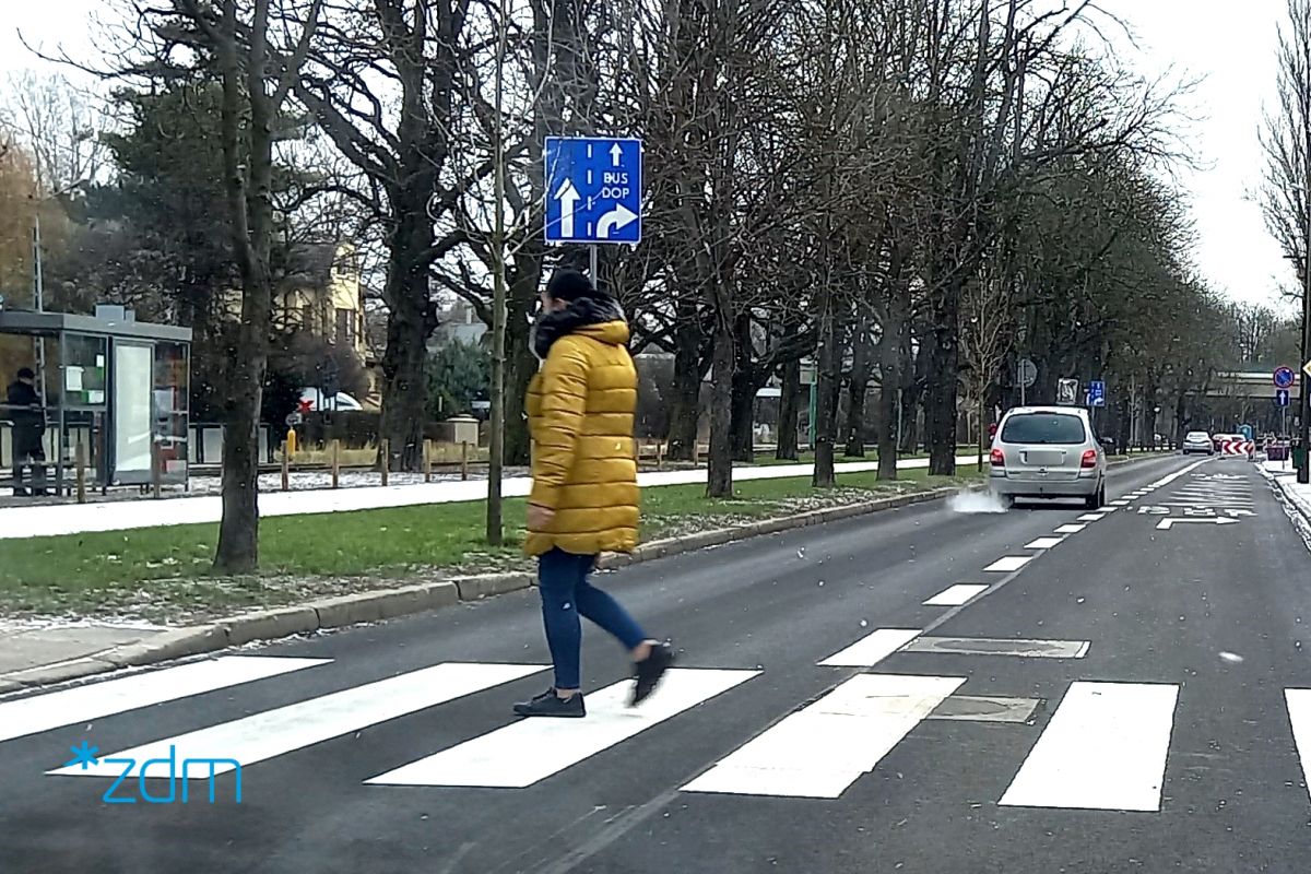 Osoba przechodząca przez przejście na al. Wielkopolskiej. W tle widać auto i malowanie buspasa na jezdni - grafika artykułu