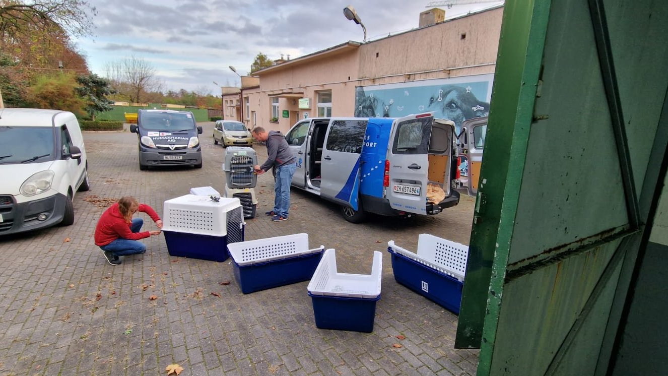 Na zdjęciu grupa ludzi i transportery dla psów