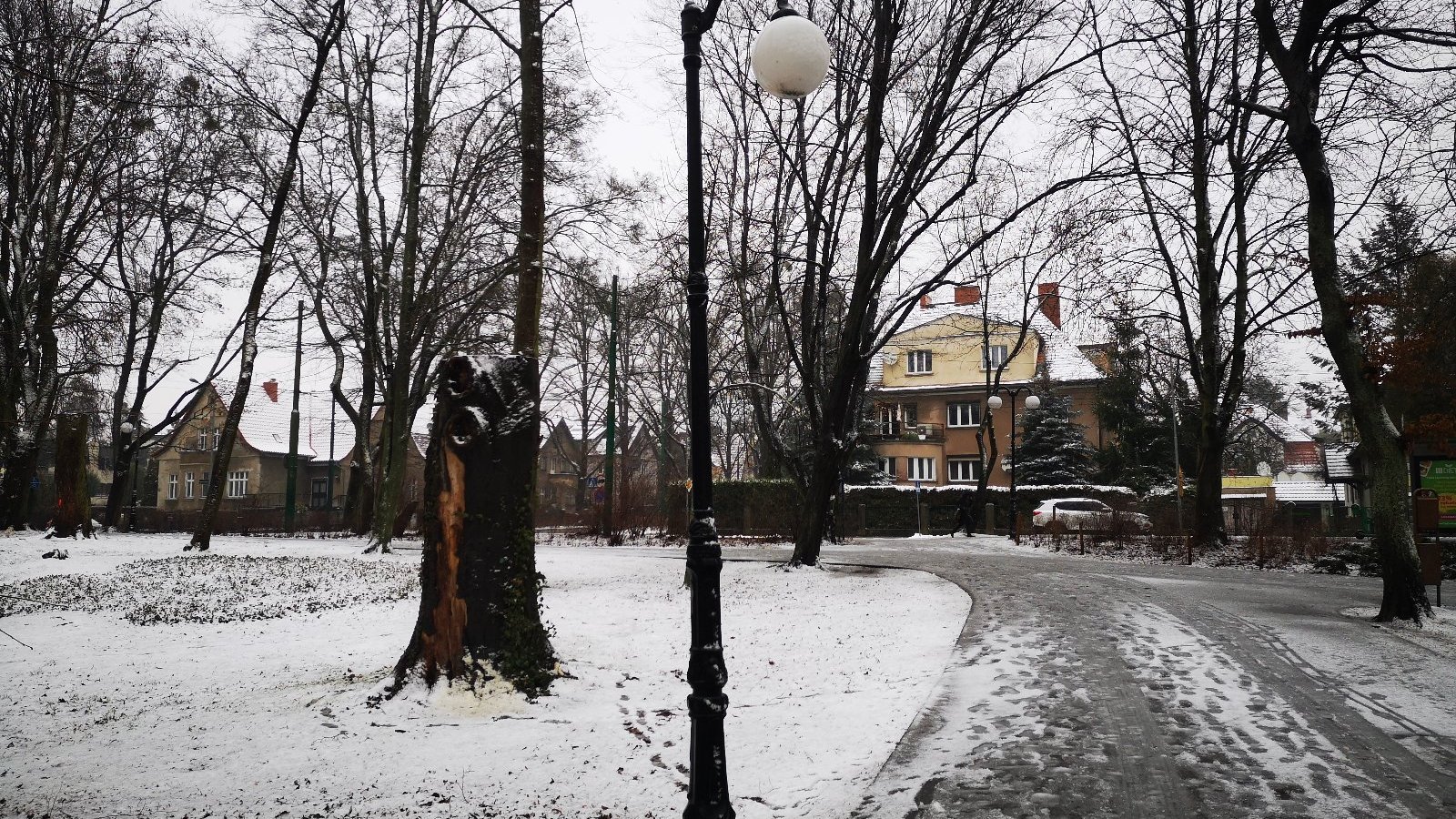 Galeria zdjęć przedstawia lampy ustawione w parku