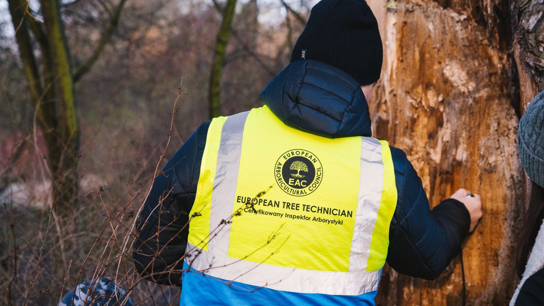 Na zdjęciu osoba odwrócona tyłem w żółtej kamizelce, stoi przed drzewem