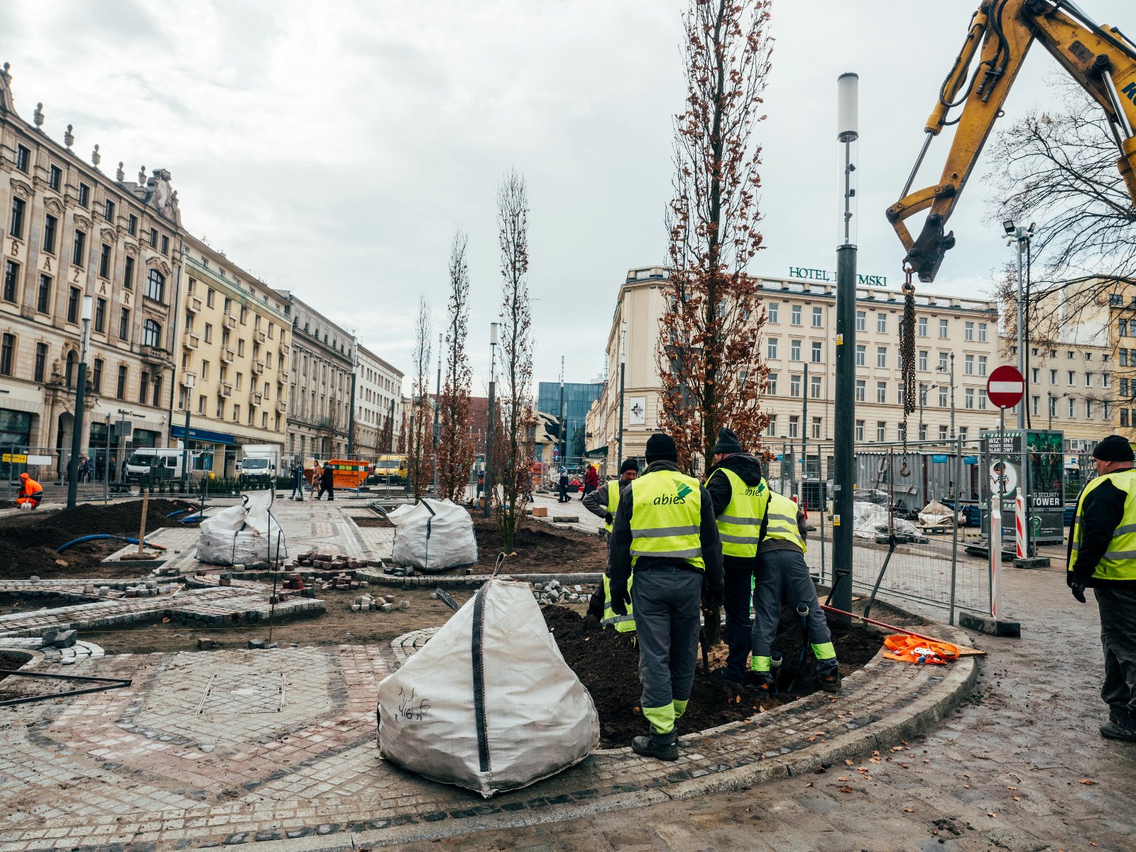 Robotnicy sadzą drzewa na wyspie przy Al. Marcinkowskiego - grafika artykułu