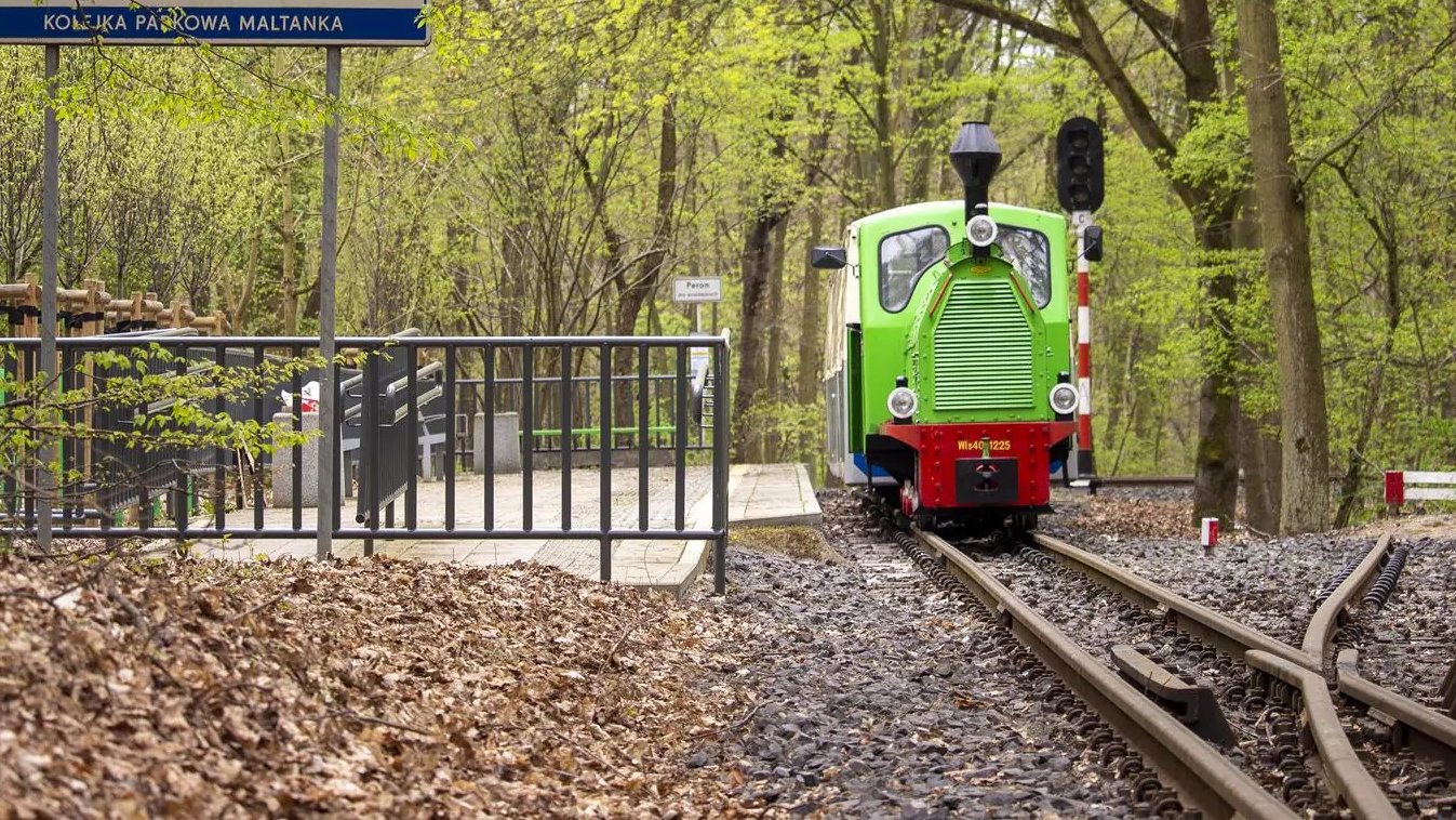 Zielona kolejka na stacji Zwierzyniec przy Nowym Zoo