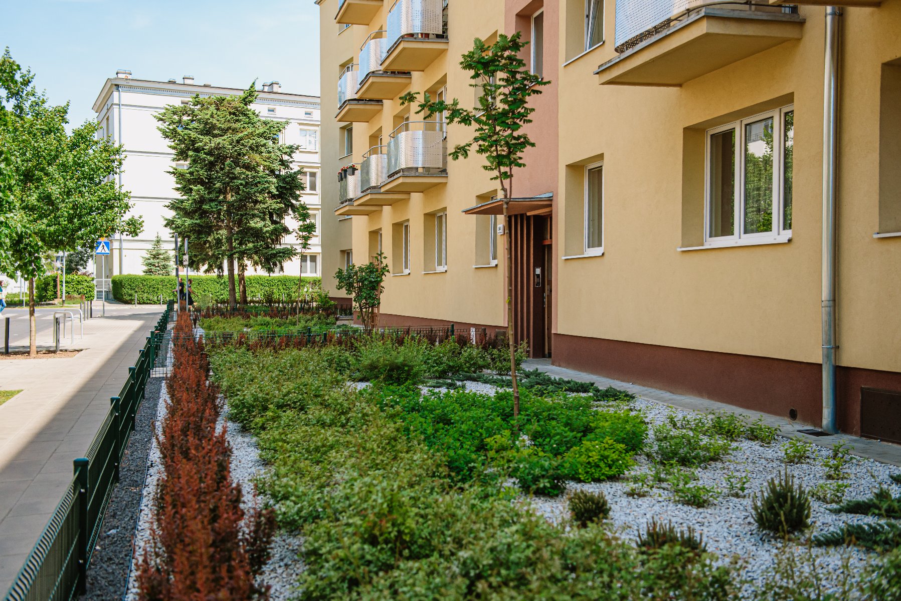 Na zdjęciu jedno z podwórek, które zmieniło się dzięki akcji, widać wejście do budynku, przed nim rośliny - grafika artykułu