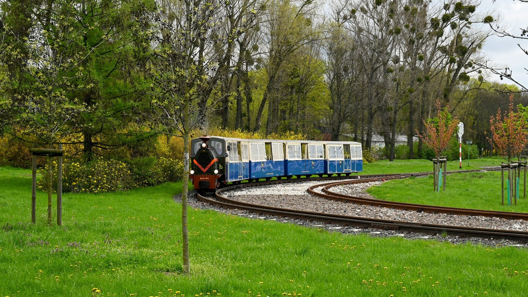 Galeria zdjęć Kolejki Parkowej Maltanka