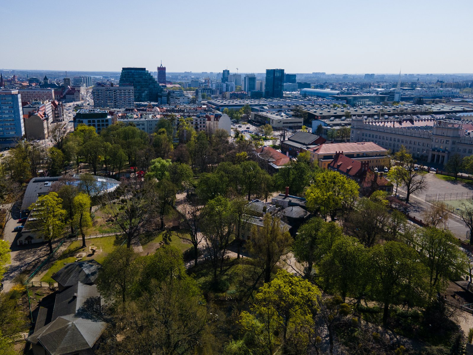 Panorama Poznania. Na pierwszym planie Stare Zoo, w tle m.in. budynek Bałtyk - grafika artykułu