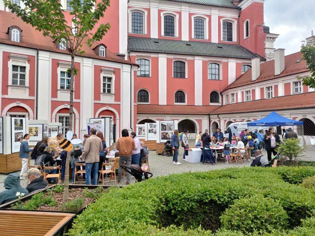 Na zdjęciu tłumy ludzi przy stoiskach przed budynkiem urzędu miasta - grafika artykułu