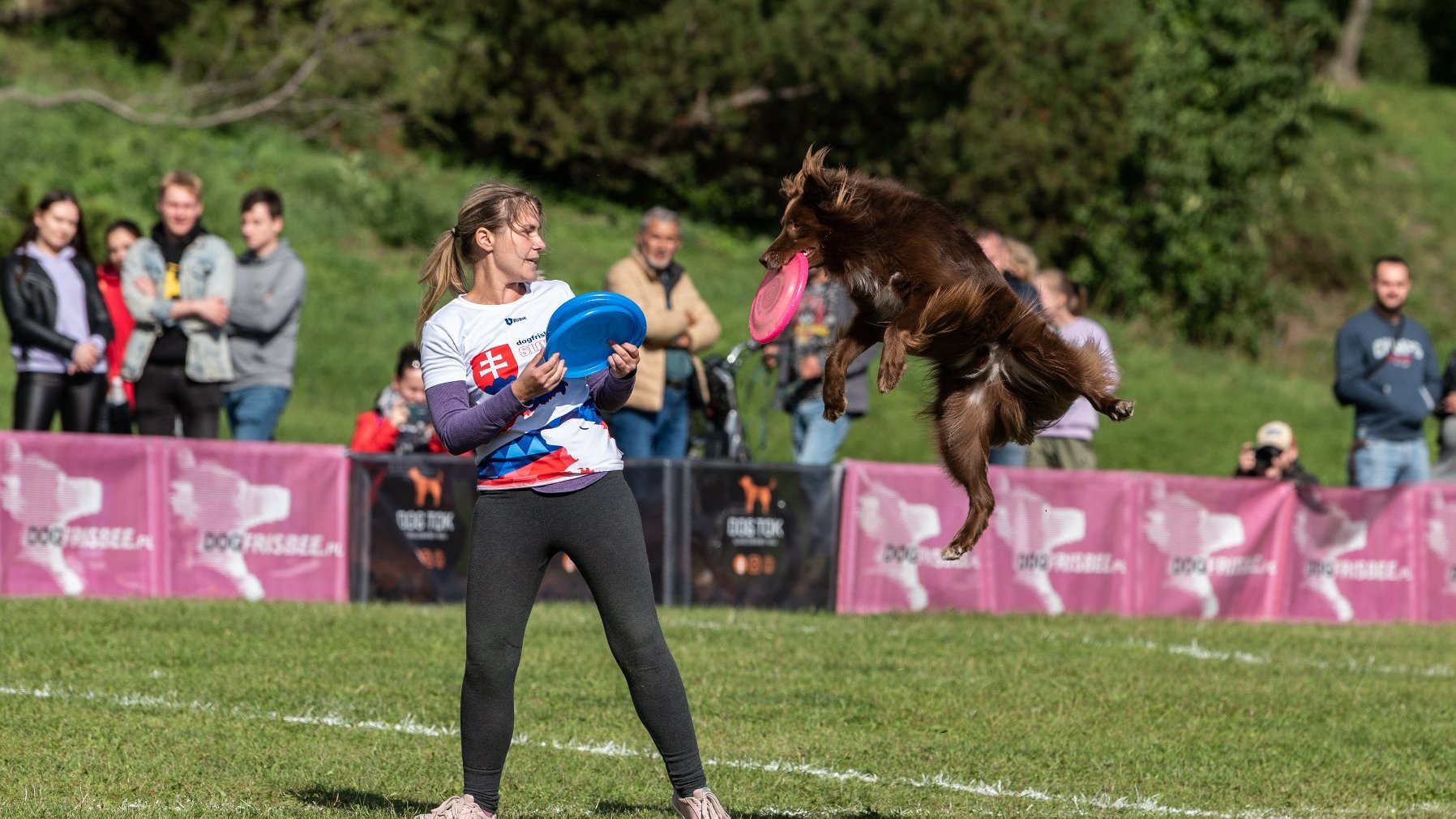 Na zdjęciu pies lecący w powietrzu i łapiący frisbee, obok kobieta