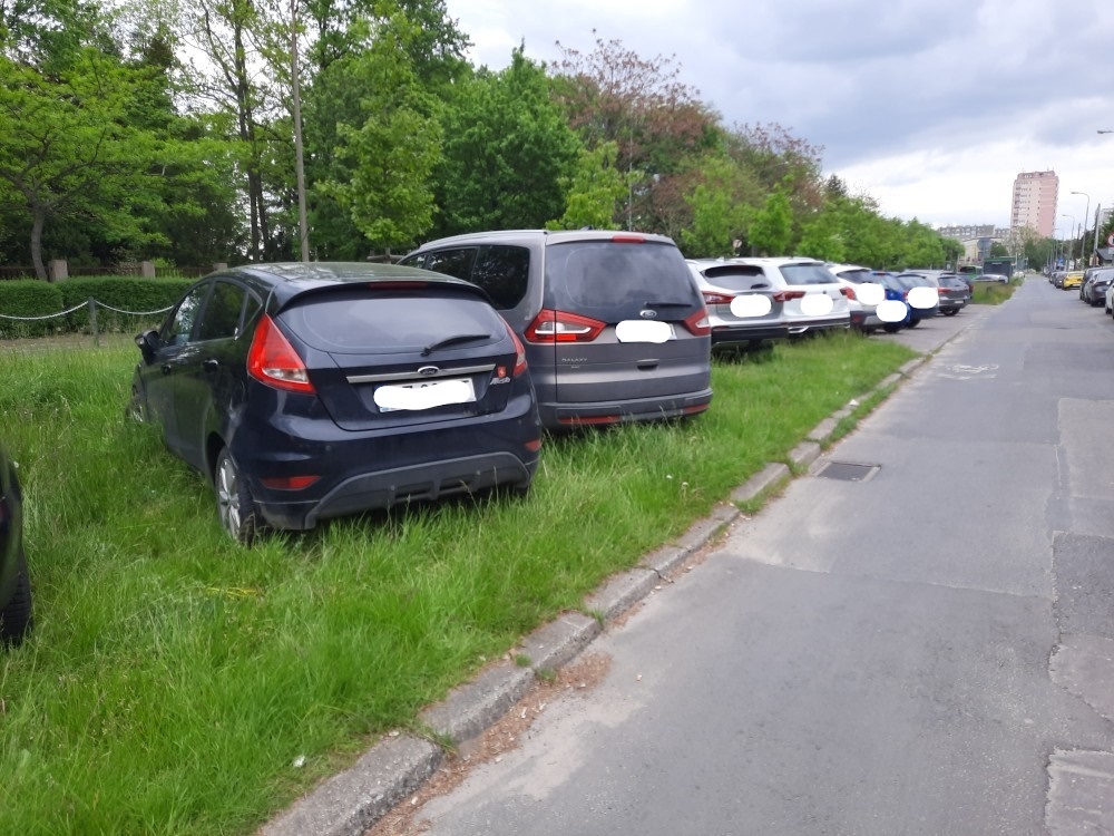 Galeria zdjęć z interwencji strażników miejskich - na zdjęciach źle zaparkowane samochody oraz wysypiska śmieci - grafika artykułu