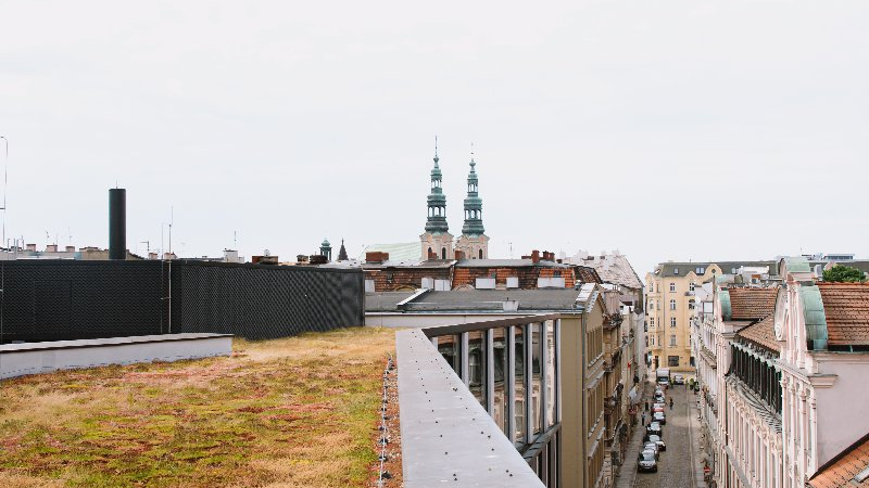 Na zdjęciu dach porośnięty trawą, w tle widok na stare miasto
