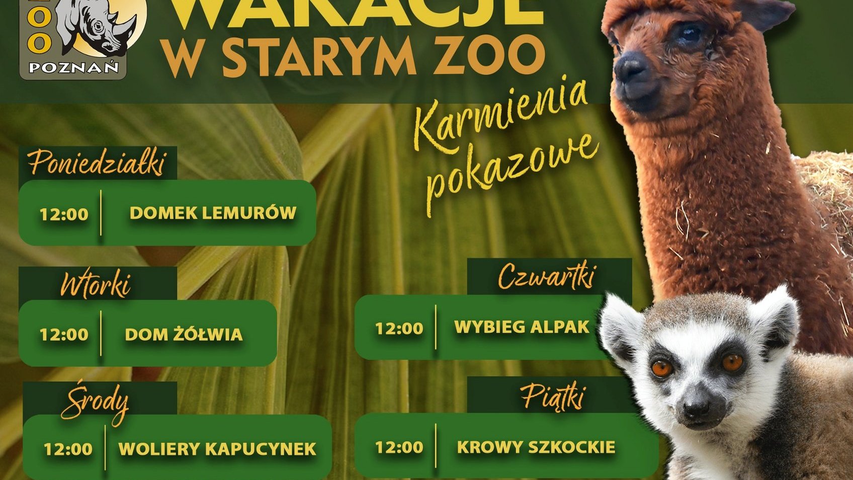 Plakat z rozpiską wydarzeń