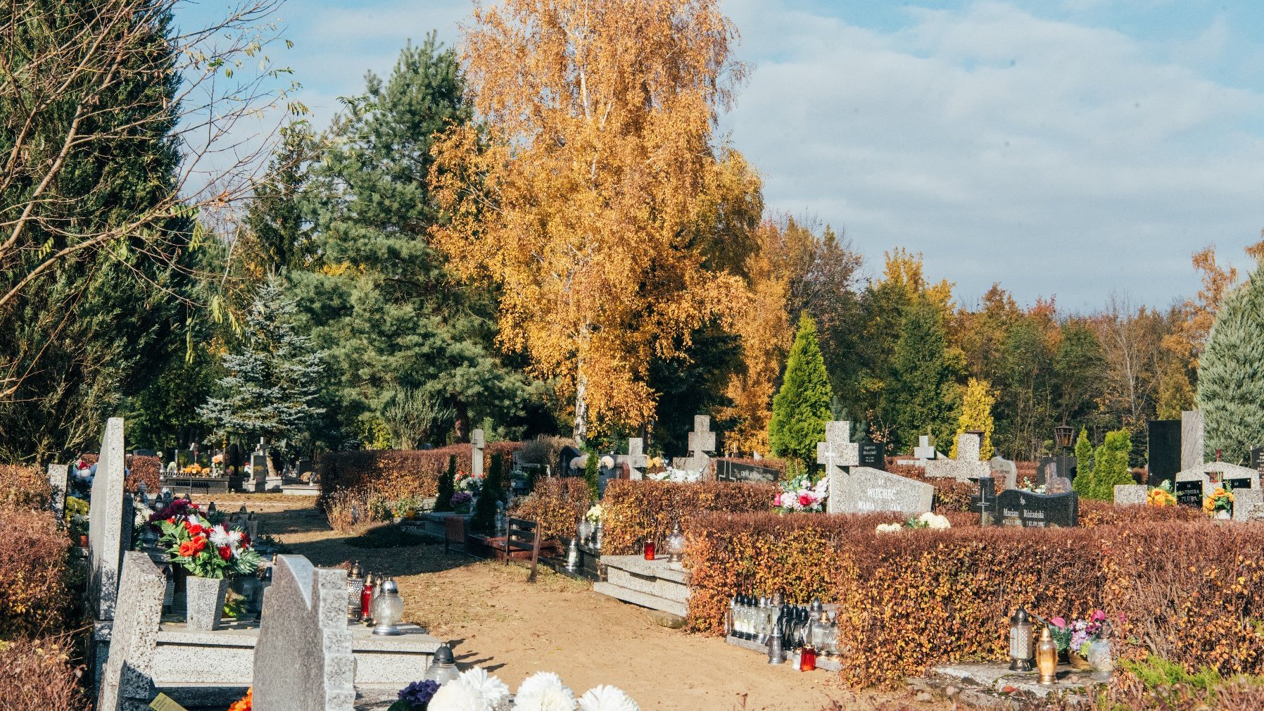 Na zdjęciu widok na cmentarz
