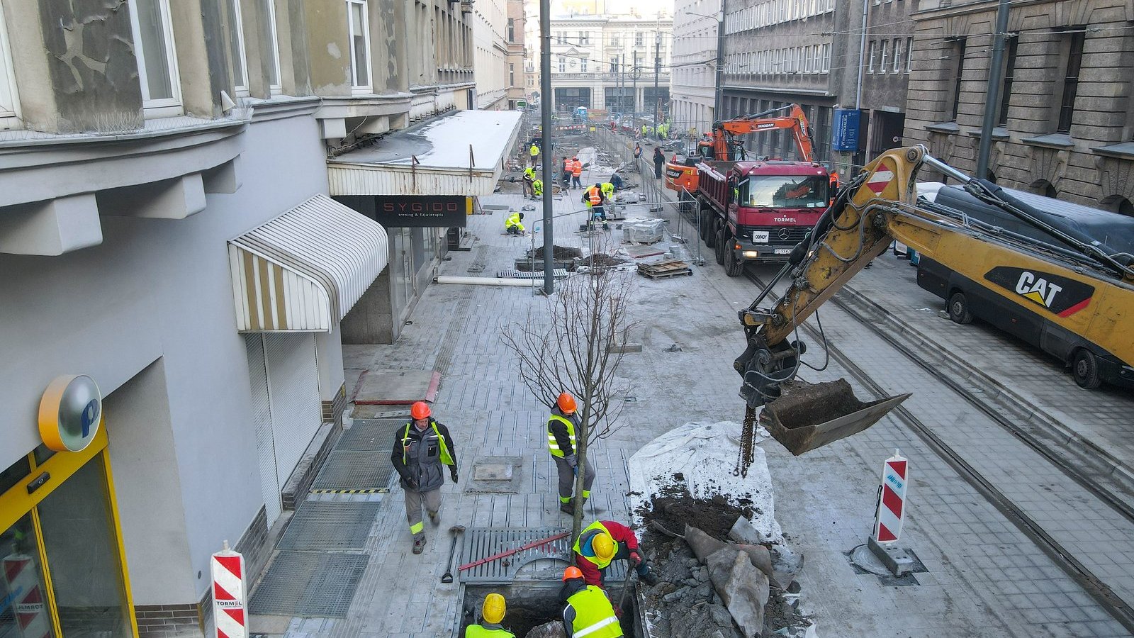 Na zdjęciu sadzenie nowych drzew na ulicy Ratajczaka