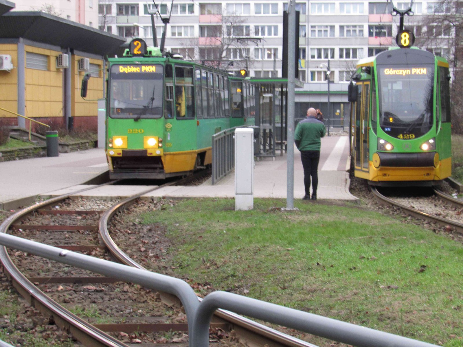 Zdjęcie tramwajów stojących na pętli Ogrody - grafika artykułu