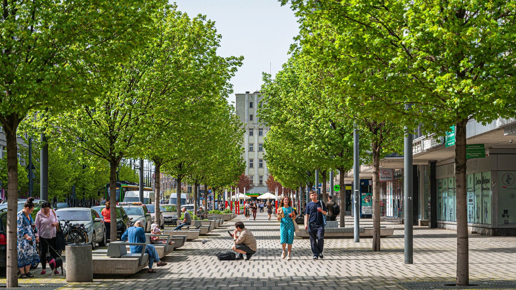 Na zdjęciu ulica Swięty Marcin, widać przechodniów między dwoma szpalerami drzew