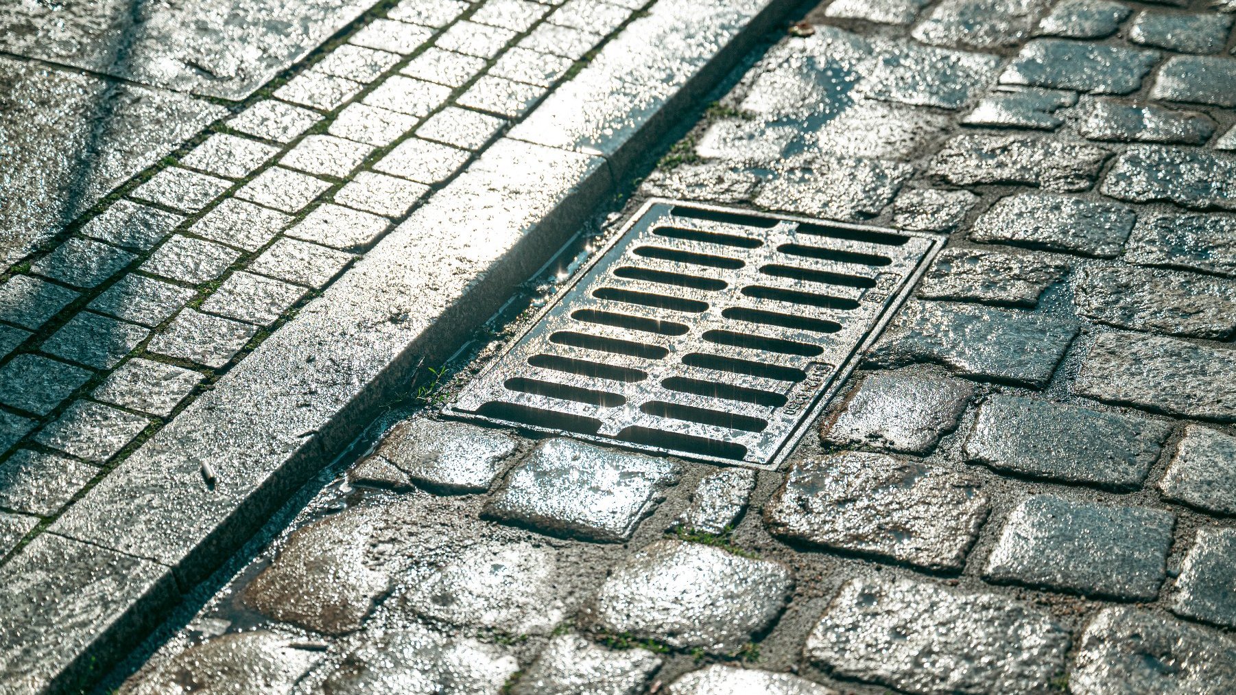 Zdjęcie przedstawia kratkę kanalizacyjną na ulicy.