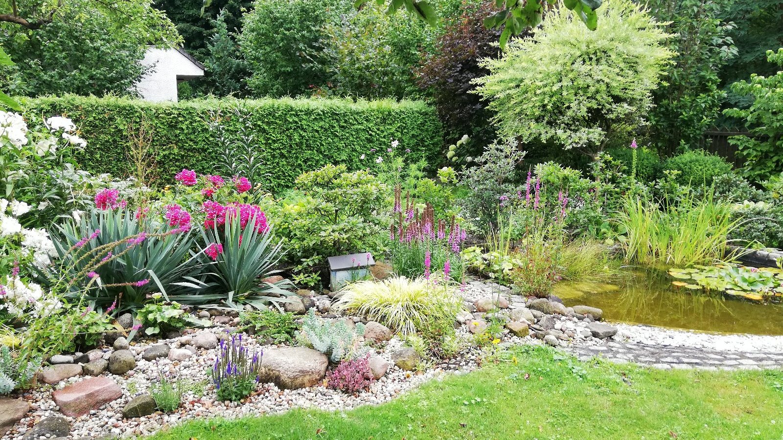 Na zdjęciu ogród z oczkiem wodnym
