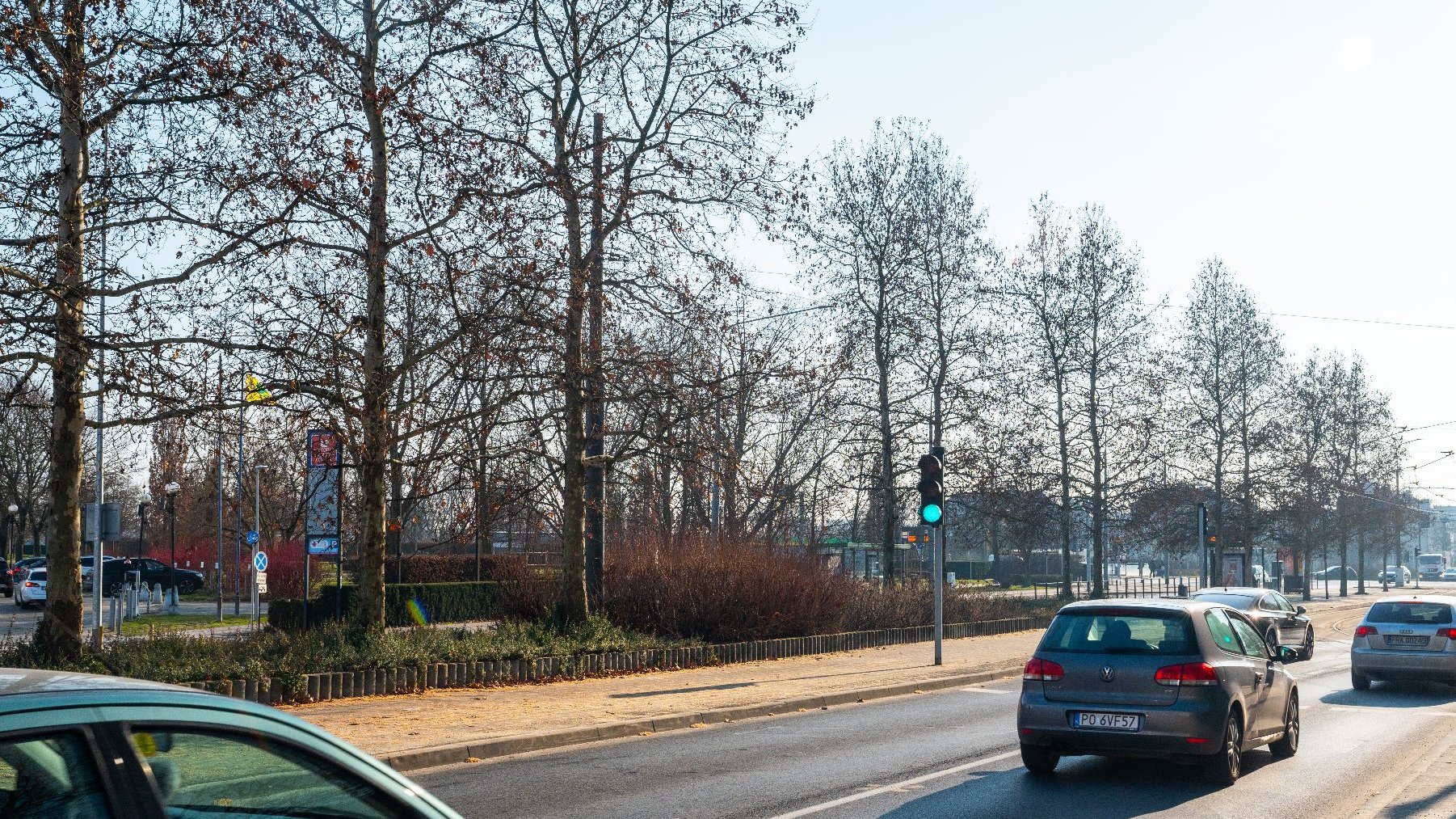 Zdjęcie przedstawia ulicę, po której jeżdzą samochody, sygnalizację świetlną oraz szpaler drzew.