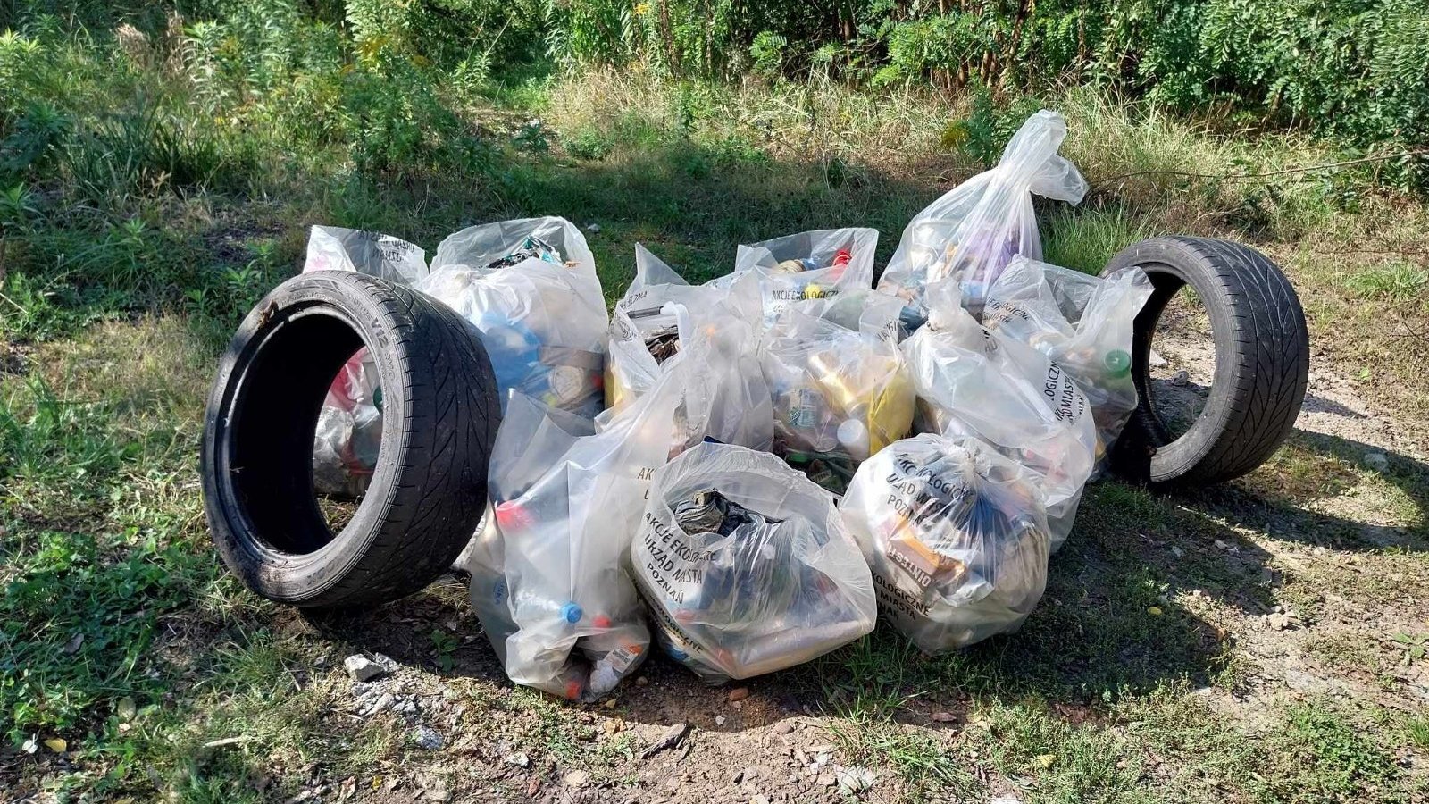 Zdjęcie przedstawia worki ze śmieciami oraz zużyte opony zebrane w jednym miejscu. Śmieci leżą na terenei zielonym.