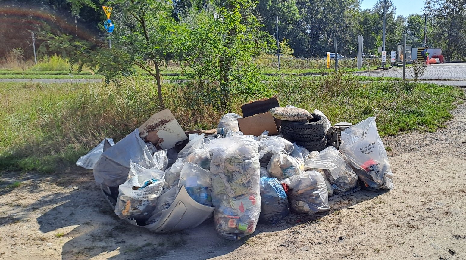 Zdjęcie przedstawia worki ze śmieciami oraz zużyte opony zebrane w jednym miejscu. Śmieci leżą na terenei zielonym. - grafika artykułu