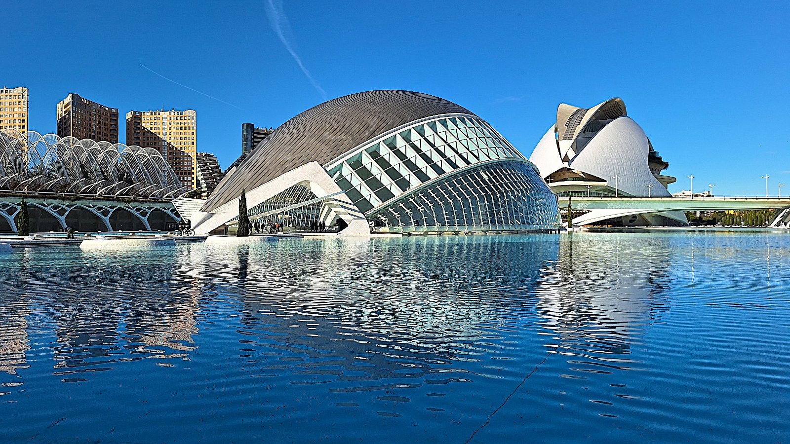 Ciudad de las Artes y las Ciencias - nowoczesny kompleks naukowy z ogromnym akwarium i ekranem IMAX usytuowany w malowniczym parku.