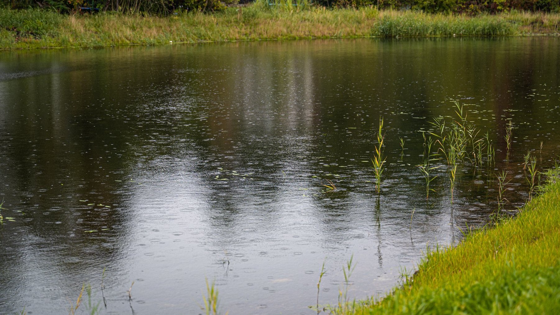 Zdjęcie przedstawia zbiornik retencyjny, czyli wodę otoczona zielenią.