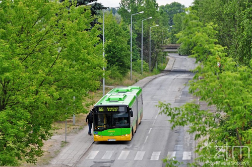 foto - grafika artykułu