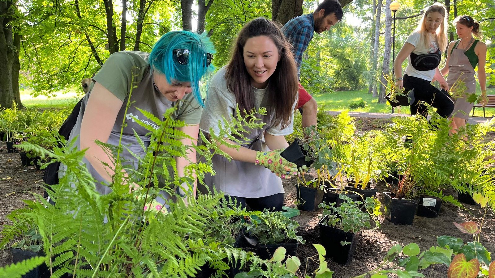 SOFTSWISS employees during the planting of a pocket forest. They prepare the plant pots.